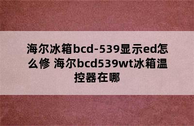 海尔冰箱bcd-539显示ed怎么修 海尔bcd539wt冰箱温控器在哪